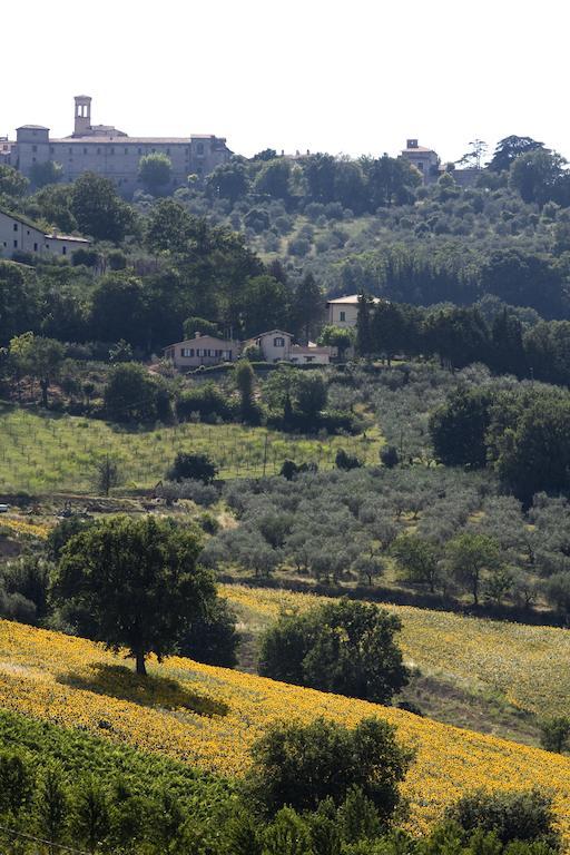 Agriturismo Il Girasole Montefalco Dış mekan fotoğraf