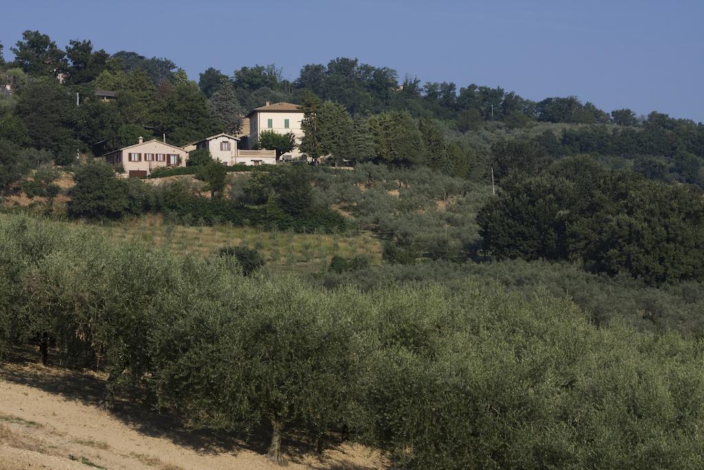Agriturismo Il Girasole Montefalco Dış mekan fotoğraf