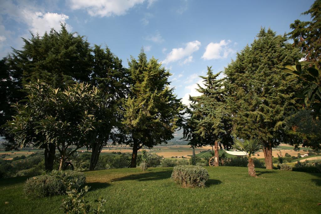 Agriturismo Il Girasole Montefalco Oda fotoğraf