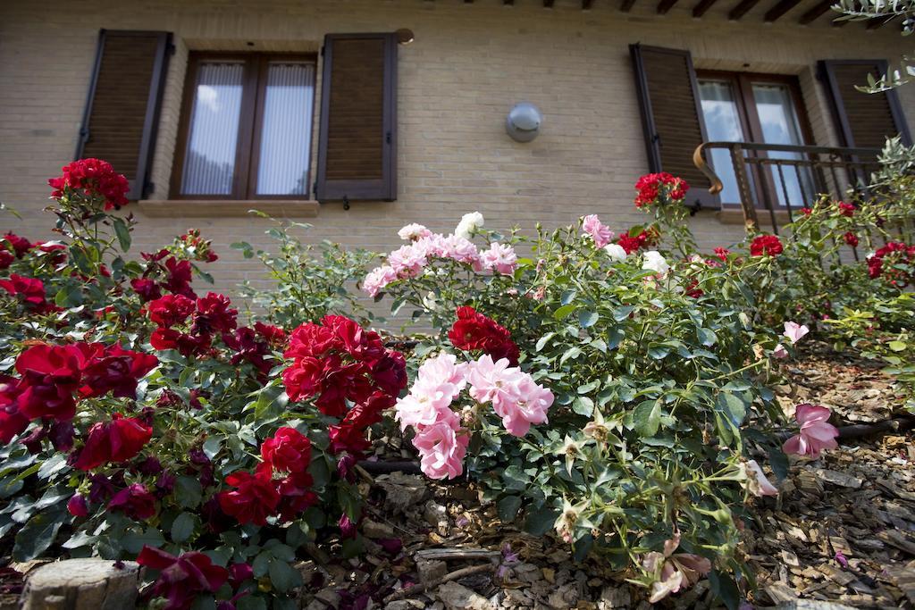 Agriturismo Il Girasole Montefalco Oda fotoğraf