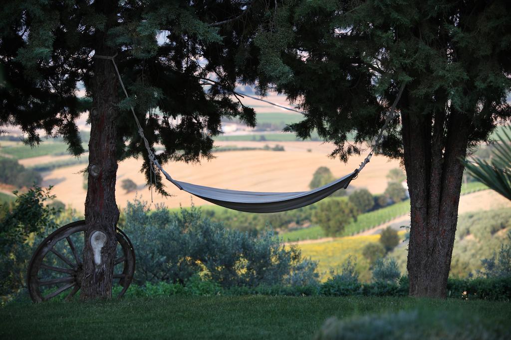 Agriturismo Il Girasole Montefalco Dış mekan fotoğraf