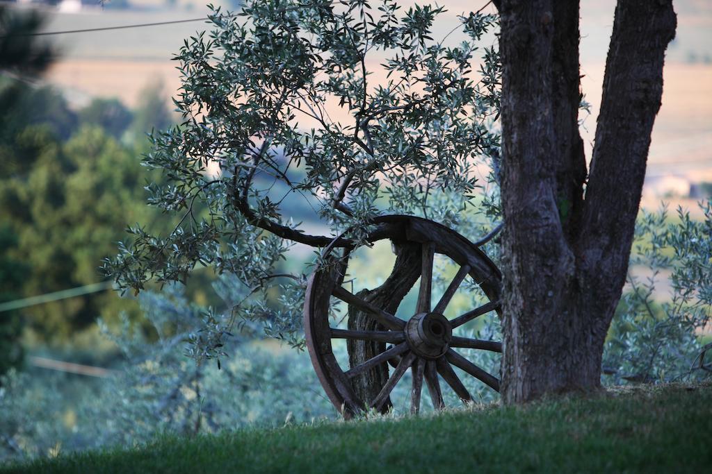Agriturismo Il Girasole Montefalco Dış mekan fotoğraf