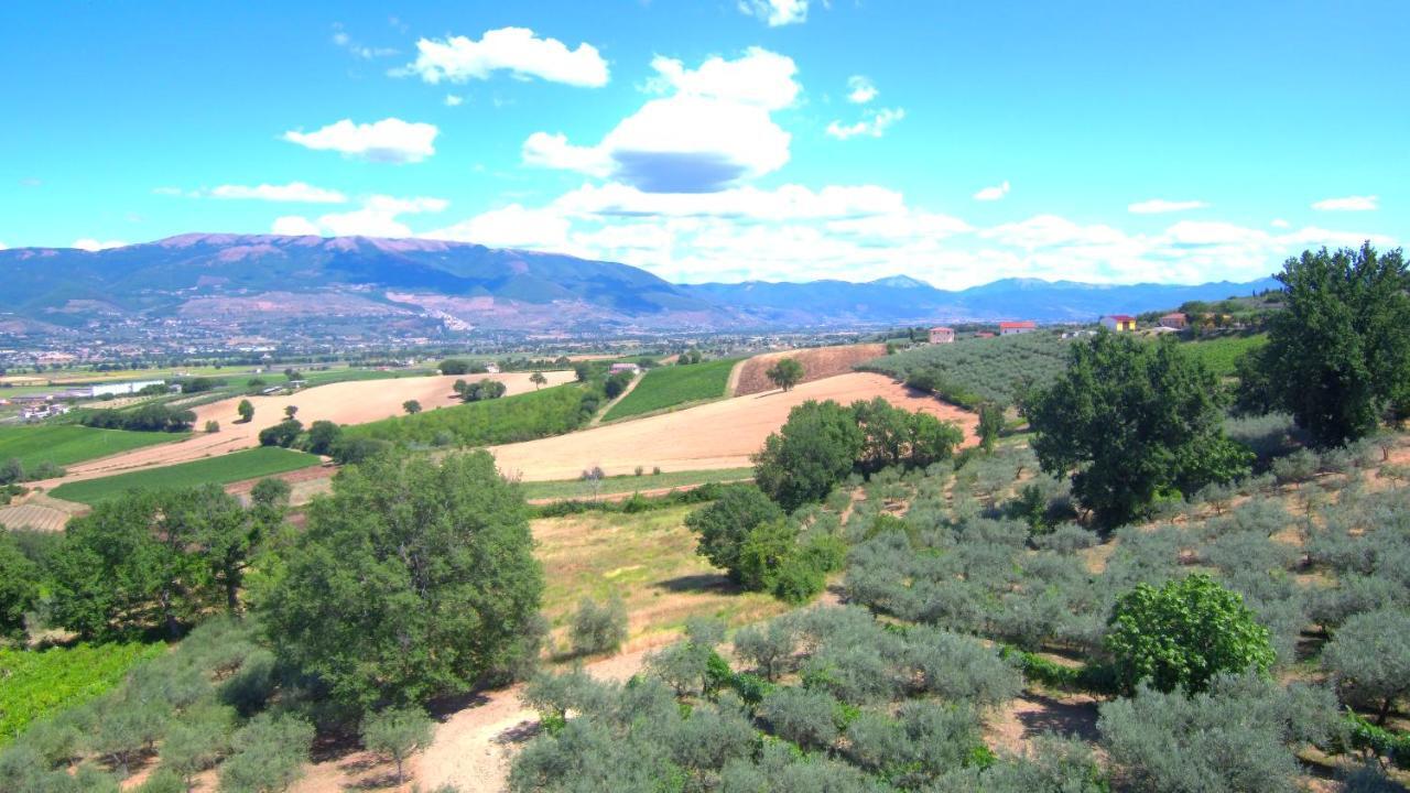 Agriturismo Il Girasole Montefalco Dış mekan fotoğraf